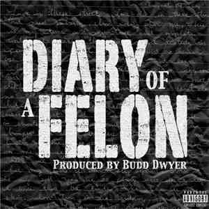 Chetta - Diary Of A Felon album flac