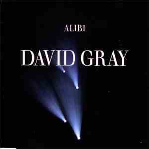 David Gray - Alibi album flac
