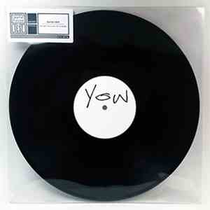 David Yow - Tonight You Look Like A Spider album flac