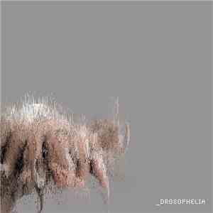 Drosophelia - Pupa album flac