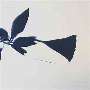 Internazionale - Elegy For The Victors album flac
