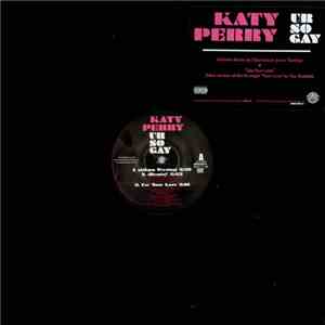 Katy Perry - Ur So Gay album flac
