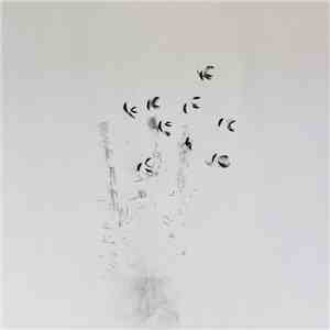 Ken Ikeda + David Toop - Skin Tones album flac
