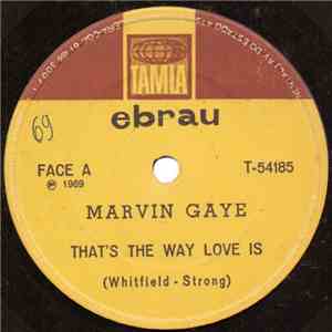 Marvin Gaye - That's The Way Love Is / Gonna Keep On Tryin' Till I Win Your Love album flac