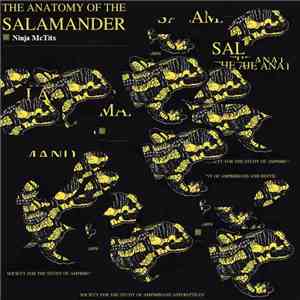 Ninja McTits - The Anatomy Of The Salamander album flac