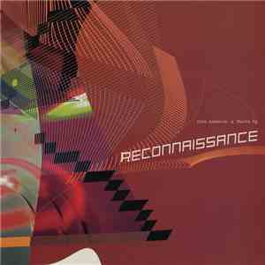 Oren Ambarchi & Martin Ng - Reconnaissance album flac