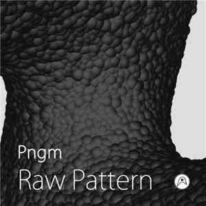 Pngm - Raw Pattern album flac
