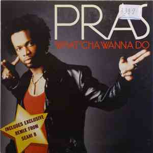 Pras - What'cha Wanna Do album flac