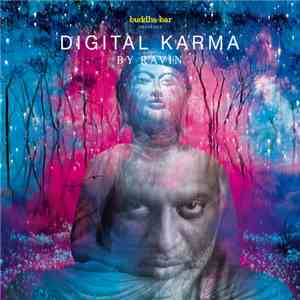 Ravin - Digital Karma album flac