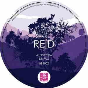 Reid  - Diptera album flac