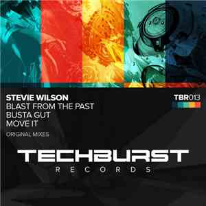 Stevie Wilson - Blast From The Past / Busta Gut / Move It album flac