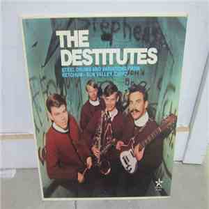 The Destitutes - Steel Drums And Variations album flac