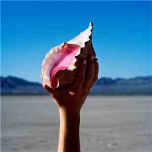 The Killers - Wonderful Wonderful album flac