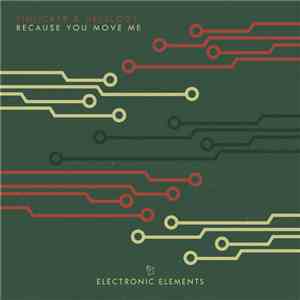 Tinlicker & Helsloot - Because You Move Me album flac