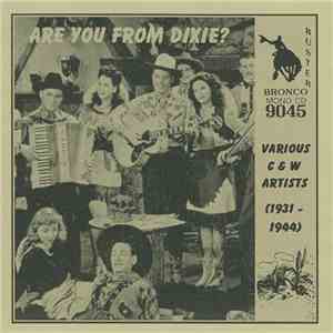 Various - Are You From Dixie? album flac