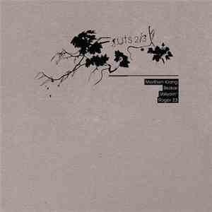 Various - Rüts 2/3 album flac