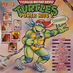 Various - Turtles Power Hits 2 album flac