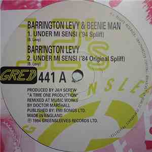 Barrington Levy & Beenie Man - Under Mi Sensi album flac