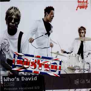 Busted  - Who's David album flac