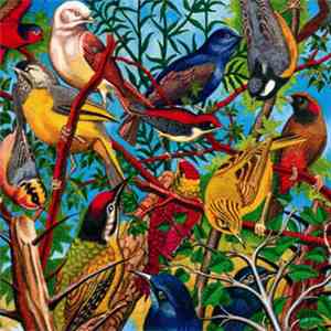 Daniel Menche - Creatures Of Cadence album flac