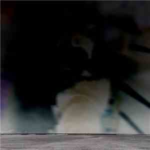 Disfigured Robot Child - I Can't Think Of Anything album flac