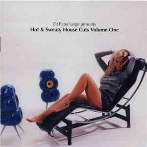 DJ Papa Large - Hot And Sweaty House Cuts Volume One album flac