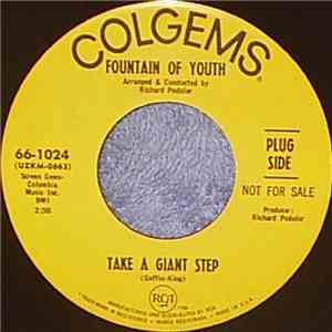 Fountain Of Youth - Take A Giant Step album flac