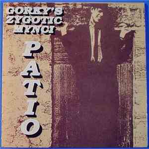Gorky's Zygotic Mynci - Patio album flac