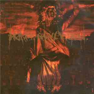 Heaven Shall Burn - In Battle... There Is No Law album flac