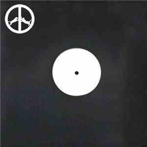 Hype Williams  - Rise Up album flac