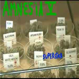 Ingrid Superstar  - Amnesia The Fifth album flac