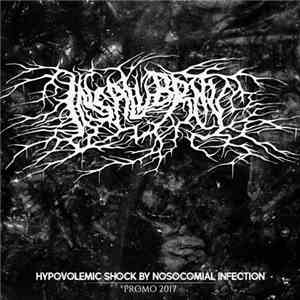 Insalubrity - Promo 2017 album flac