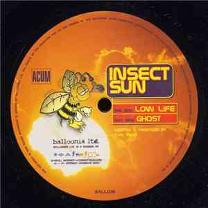 Insect Sun - Ghost / Low Life album flac