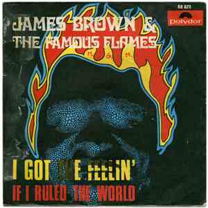 James Brown & The Famous Flames - I Got The Feelin' album flac