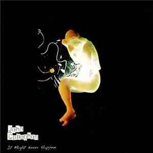 John Callaghan - It Might Never Happen album flac