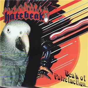 Longmont Potion Castle / Hatebeak - Metal Interlude / Beak Of Putrefaction album flac