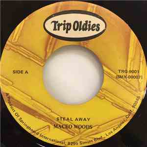 Maceo Woods - Steal Away album flac
