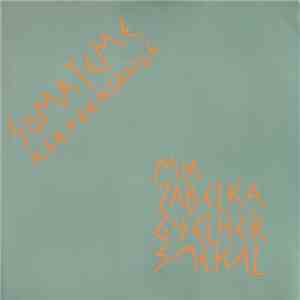 Mia Zabelka / Giselher Smekal - Somateme - Körperklänge album flac