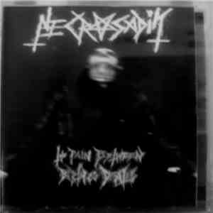 Necrosadik - The Pain Between Birth & Death album flac