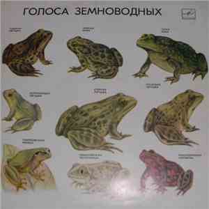 No Artist - Голоса Земноводных album flac