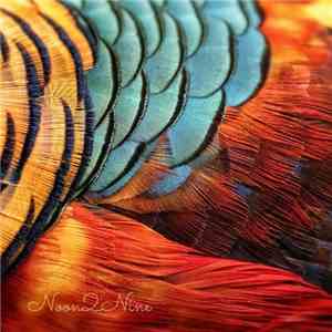 Noon2Nine - Kaolin album flac