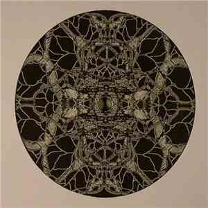 Pfirter - New State Of Consciousness Remixed album flac