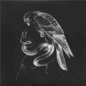 Savages  - Flying To Berlin / Husbands album flac