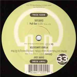 Skyjuice / Dark Leaf / Byard Lancaster - Pull Out / Citizens / Us album flac