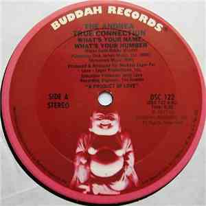 The Andrea True Connection - What's Your Name, What's Your Number album flac