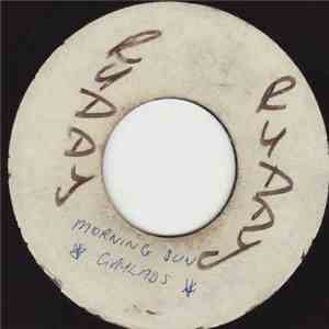 The Gaylads - Morning Sun / I'll Pretend album flac