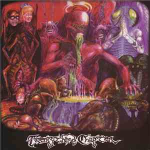 Twenty Third Chapter - Astringent Mask album flac