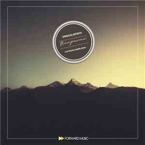 Various - A 40 Track Compilation: Anapurna album flac