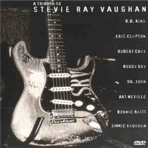 Various - A Tribute To Stevie Ray Vaughan album flac