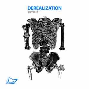 Various - Derealization (Section X) album flac